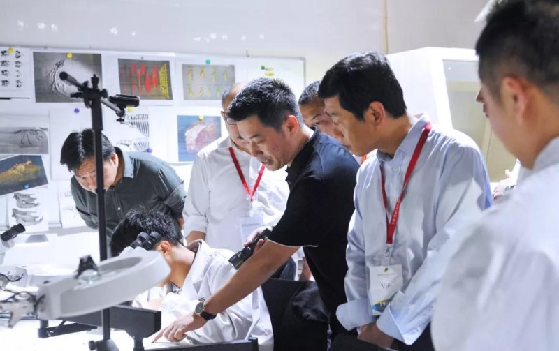 麻城市委副書記、市長蔡緒安蒞臨第十九屆中國(南安)水頭國際石材博覽會