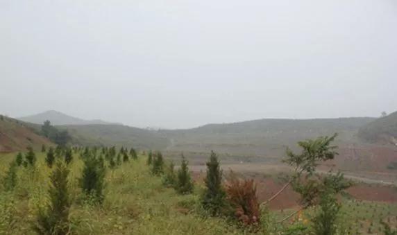 河南滎陽南部石材礦山現狀：生態修復初見成效