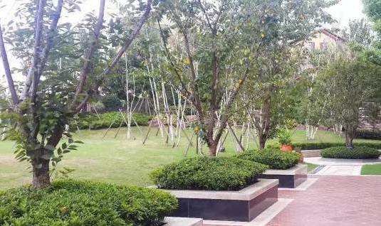 花崗巖石材樹(shù)池園藝環(huán)境石應(yīng)用案例欣賞