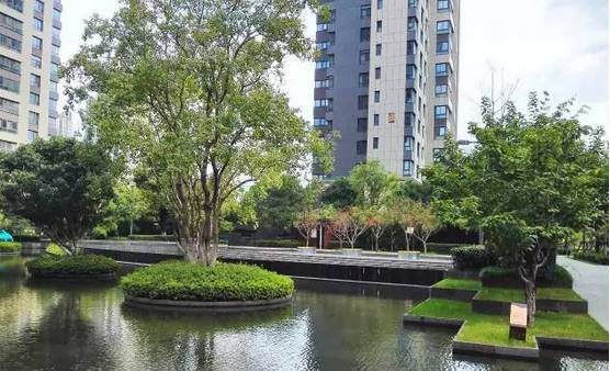 花崗巖石材樹(shù)池園藝環(huán)境石應(yīng)用案例欣賞