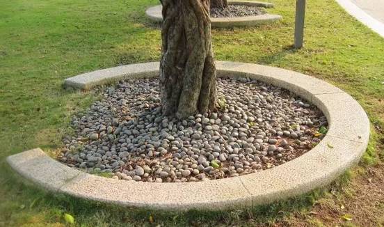 花崗巖石材樹(shù)池園藝環(huán)境石應(yīng)用案例欣賞