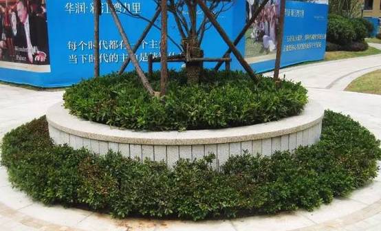 花崗巖石材樹(shù)池園藝環(huán)境石應(yīng)用案例欣賞