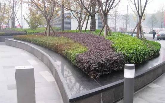 花崗巖石材樹(shù)池園藝環(huán)境石應(yīng)用案例欣賞