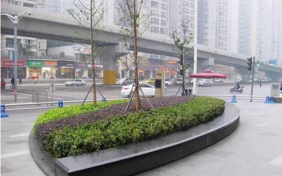 花崗巖石材樹(shù)池園藝環(huán)境石應(yīng)用案例欣賞