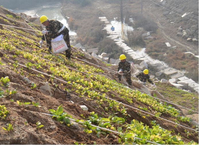 湖北完成礦山生態修復5萬畝，隨縣石材礦山復綠9010畝，礦山盼復工！