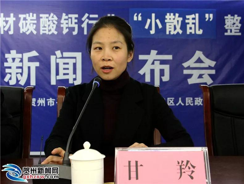 廣西賀州市石材碳酸鈣行業(yè)“小散亂”整治工作新聞發(fā)布會召開