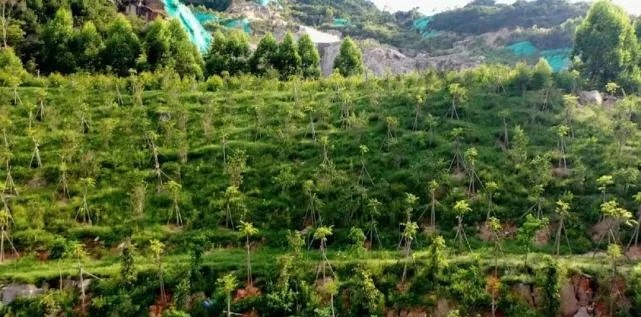 漳浦問題礦山生態(tài)圓滿修復(fù)，全縣石材企升級27家企業(yè)復(fù)電復(fù)產(chǎn)，獲中國環(huán)境報(bào)好評