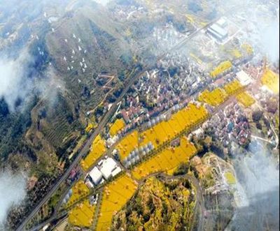 浙江桐廬鐘山鄉石材石雕小微園項目開工建設了！