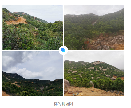 廣東江門臺山花崗巖礦權出讓2022