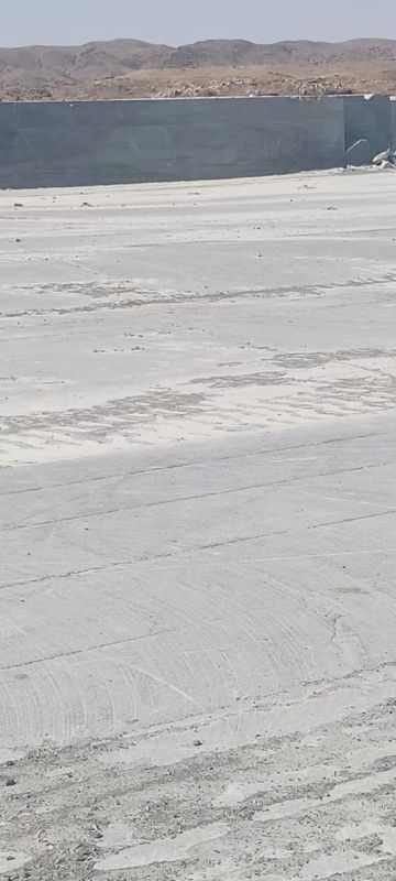 中旗黑