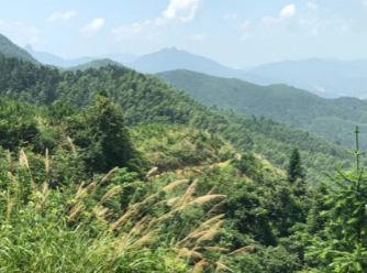 石材變廢為寶的應用